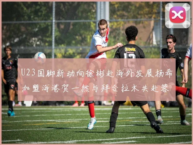 U23国脚新动向徐彬赴海外发展杨希加盟海港贺一然与拜合拉木共赴蓉城