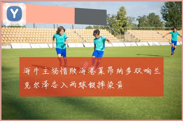 海牛主场惜败海港莱昂纳多双响兰克尔泽各入两球假摔染黄