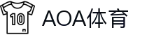 AOA体育(CN)官方网站-AOASPORTS"